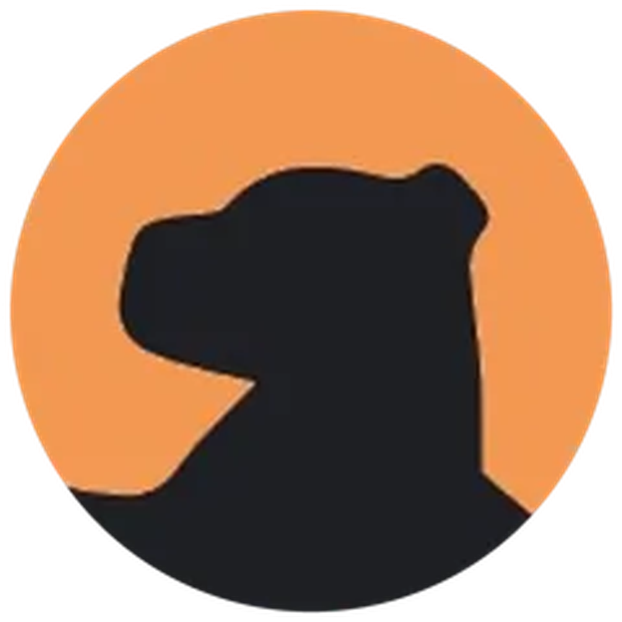 SBstrategies